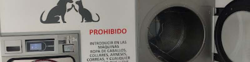 Lavadero O Lavadoiro en Pontevedra