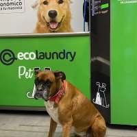 Autolavado de mascotas Ecolaundry Pets Burgos