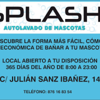 Splash! Autolavado mascotas
