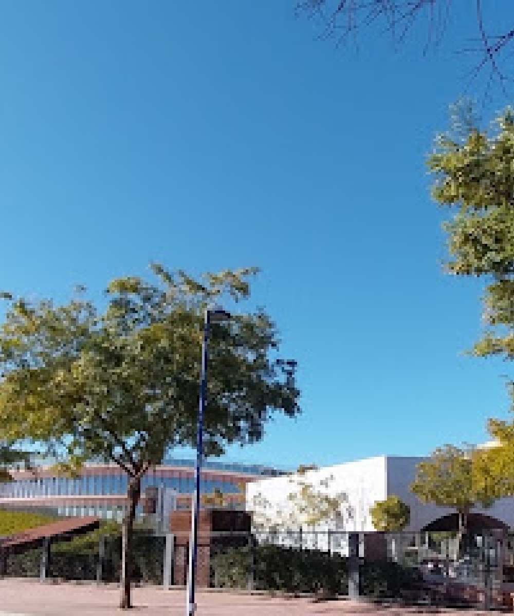 Detailcar limpieza de coches lavado de tapiceria Torre Sevilla