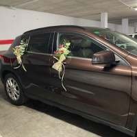 EcoCarClean. Limpieza de coches a domicilio